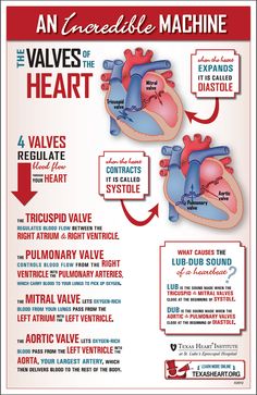 an overview of the valves of the heart info sheet with instructions on how to use it