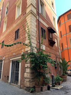 an old brick building with vines growing on it's side in the middle of a cobblestone street