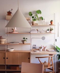 a room with some shelves and plants on the wall next to a chair, table and desk