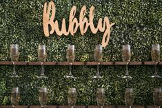 wine glasses are lined up in front of a bubbly sign on a green wall