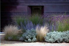 purple and green plants in front of a building