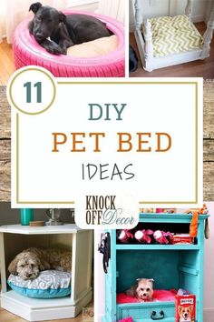 the best diy pet bed ideas for dogs and cats in their own house or home