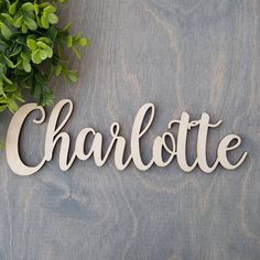 the word charlotte spelled in wooden letters next to a potted plant