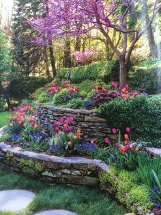 an image of a garden with flowers and trees in the back ground, surrounded by rocks