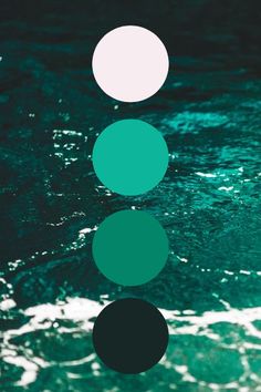 three circles in the middle of water with green and white colors on them, all connected to one another