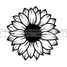 a black and white sunflower on a white background