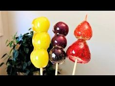 three lollipops sitting on top of each other in front of a potted plant