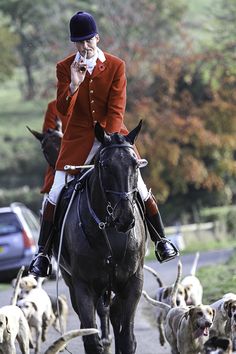 a man riding on the back of a black horse next to a herd of dogs