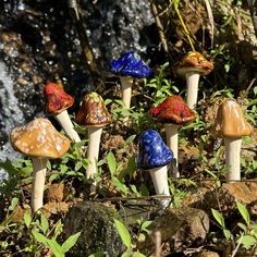 several different colored mushrooms sitting on the ground next to a waterfall and water fall in the background