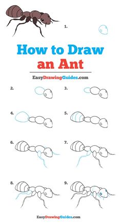 how to draw an ant step by step instructions for kids and beginners with pictures