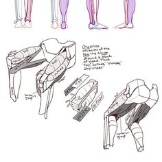 some drawings of different types of legs and feet