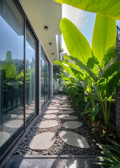 the walkway is lined with stepping stones and green plants in front of glass doors that lead to an outdoor dining area