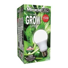 a light bulb in a box with green leaves on the front and back side, which reads