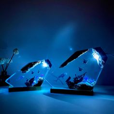 two glass vases sitting on top of a table filled with water and fish inside of them