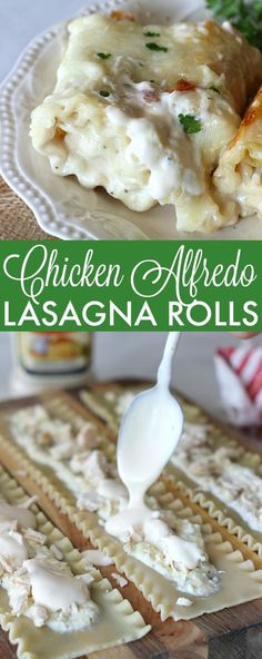 chicken alfredo lasagna rolls on a white plate