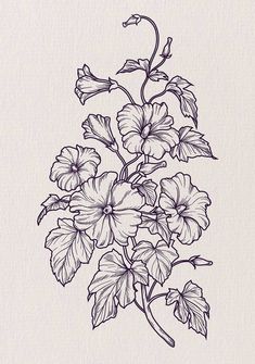 a drawing of flowers with leaves on the side and one flower in the middle,