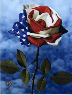 a red, white and blue rose with the american flag on it