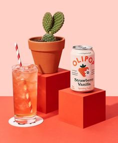 two cans of soda and a cactus in a pot on top of blocks with strawberries