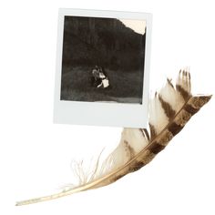 an old photo with a feather on it and a white frame hanging from the side