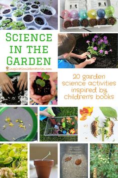 science in the garden book cover with pictures of plants and seeding books on it