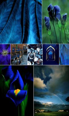 blue flowers and green leaves are featured in this collage with the same color scheme