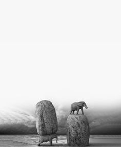 an elephant standing on top of two large rocks in the middle of a desert area