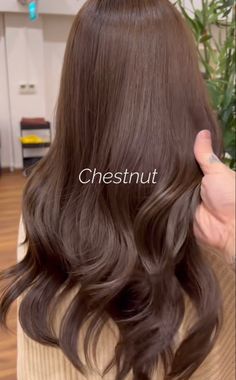 Brown Colors For Hair, Soft Chestnut Brown Hair, Mocha Mousse Hair Color, Milk Brown Hair Color, Cocoa Hair Colour, Chocolate Brown Hair Asian, Solid Brown Hair Color, Milk Chocolate Hair, Light Chocolate Brown Hair