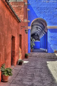 an alley way with blue and red walls, potted plants on either side of the walkway