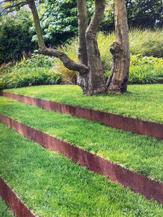 a garden with grass and trees in the background, including steps leading up to a tree