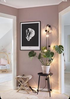 a room with some plants and pictures on the wall