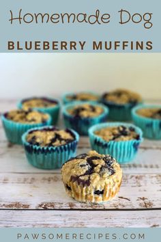 homemade blueberry muffins with text overlay that reads homemade dog blueberry muffins