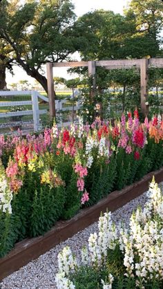 many different colored flowers growing in a garden bed next to a white fence and trees