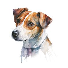 a watercolor painting of a brown and white dog