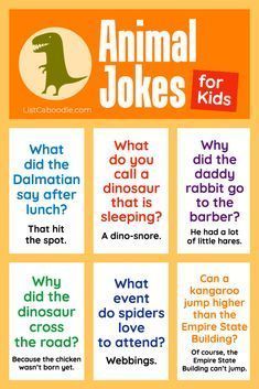 an animal joke for kids with different words and pictures on the back ground, including dinosaurs