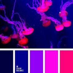 purple and red jellyfish in the water with color swatches to match it's colors