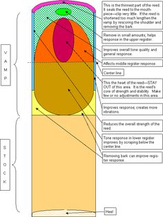 an image of a cell phone with the diagram below it, and other parts labeled