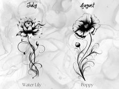 three flowers with the words water lily, poppy and july on them in black ink