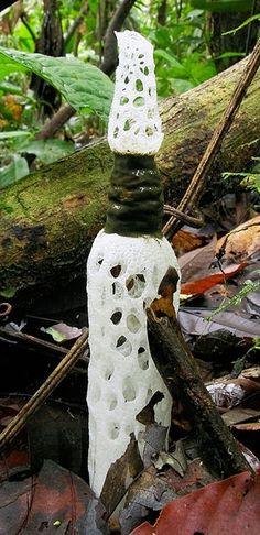 a white sculpture sitting on top of a forest floor