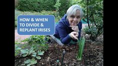 an older woman kneeling down in the garden with her hand on top of some plants