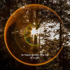 the sun is shining through some trees with a quote on it that says to have gotten this far is a gift