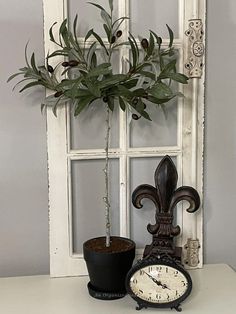 a clock sitting on top of a table next to a potted plant and window