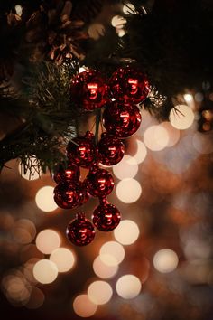 red baubles hanging from a christmas tree with boket lights in the background