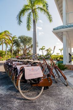 several bicycles parked next to each other in front of a building with palm trees behind them