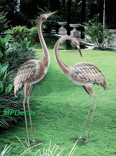 two large birds standing on top of a lush green field