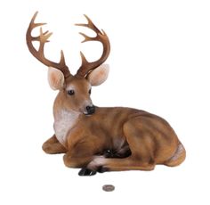 a deer laying down next to a pile of coins