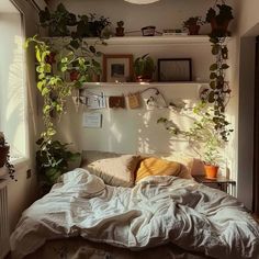 an unmade bed with lots of plants on the wall above it and a window