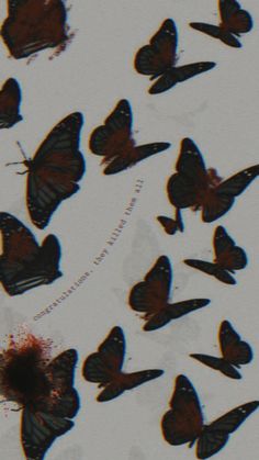 a group of butterflies flying in the sky