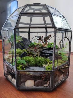 a glass box filled with plants and rocks on top of a wooden table next to a tv