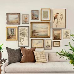 Thrifting home decor 2024 Living Room Decor Gallery Wall, Photo Gallery Wall Layout Living Room, Home Decor Antique Modern, Apartment Farmhouse Living Room, Vintage Frame Art Wall, Vintage Gallery Wall Art, French Country Modern Decor, Neutral Gallery Wall Ideas, Frame Wall Ideas Living Room