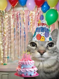 a cat wearing a birthday hat next to a cake with candles on it and balloons in the background